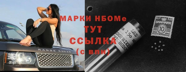 стафф Алзамай