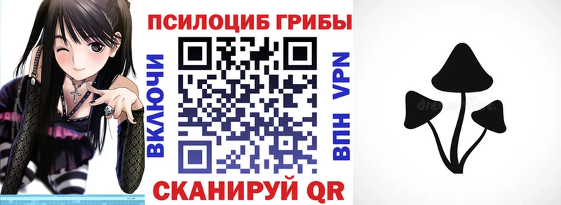 где продают наркотики  Цоци-Юрт  Галлюциногенные грибы мицелий 